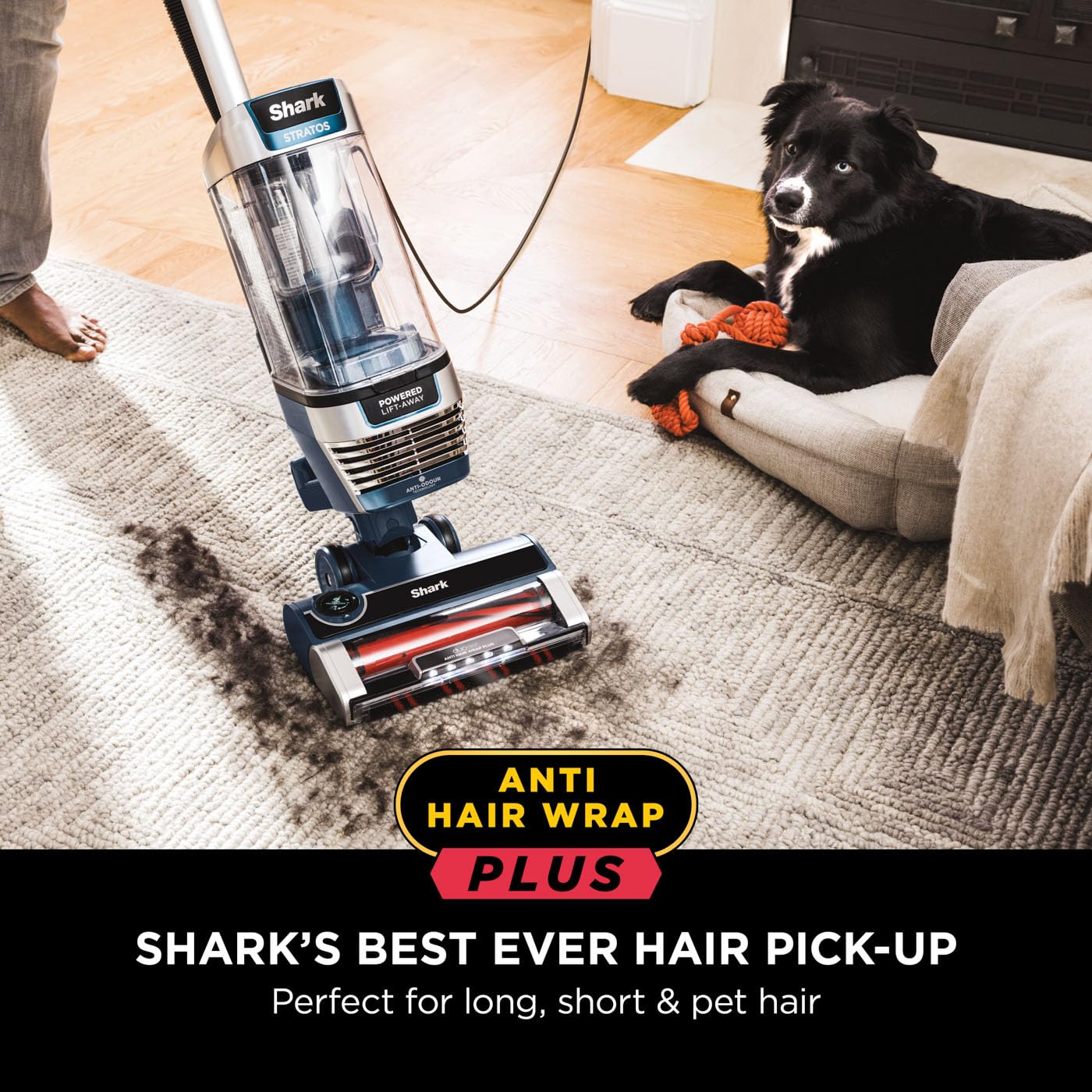 Shark Stratos XL 2.6 Litre Corded Upright Vacuum Cleaner with Anti Hair Wrap Plus & Anti Odour